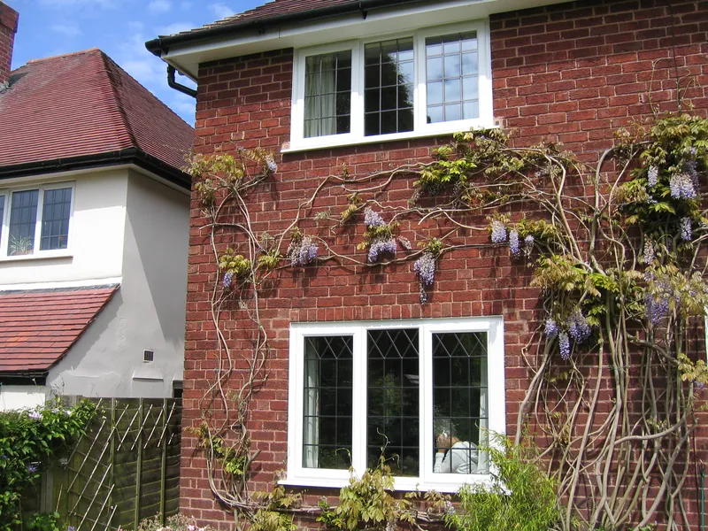 Edwardian Conservatory — Gallery Norbury